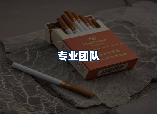 专业团队